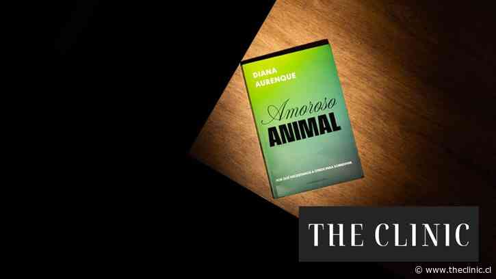 Diana Aurenque y las reflexiones de su nuevo libro “Amoroso Animal”: “Hay belleza incluso en los dolores por amor”