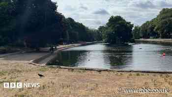 Park not worthy of Green Flag award, say visitors