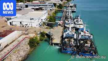 Trawlers sit idle as tiger prawn season gets underway