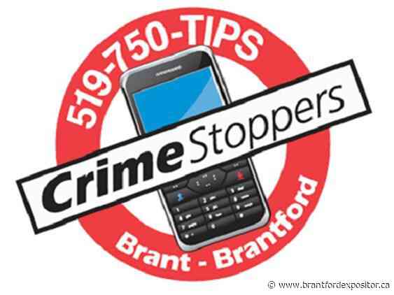 Brant-Brantford Crime Stoppers launches campaign to curb opioid crisis