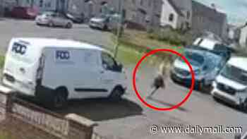 Moment man seriously injures two officers by reversing a van over them as police launch manhunt