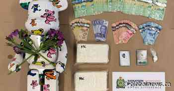 Cocaine, collectible bear seized in Saskatoon drug bust