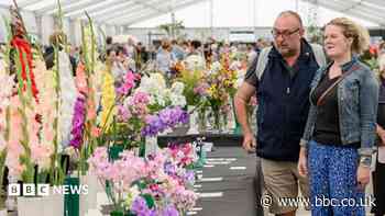 Chorley Flower Show 2026 - how to get there and what to see
