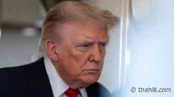 Trump appeals ruling finding he colluded with DOJ in $10B IRS suit