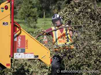 Edmontonians asked to report debris as storm damage reaches $26 million
