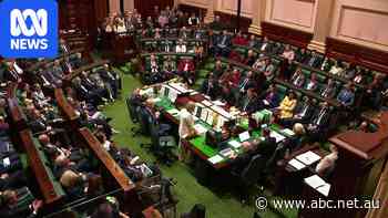 The Labor MPs chasing promotions after Vic leadership spill