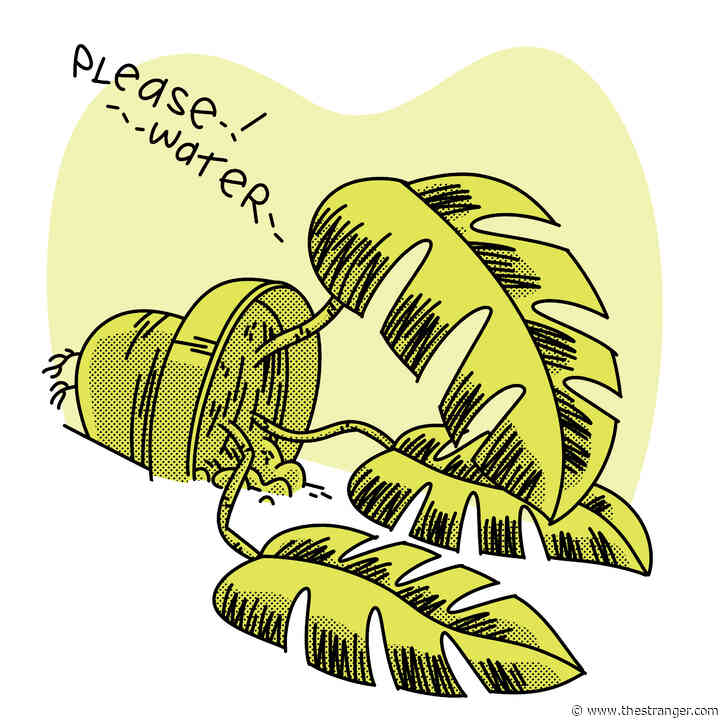 Plant Problems