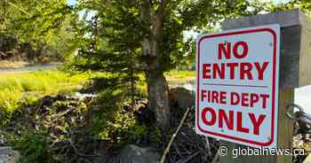 Beavers and a Tim’s card: a very Canadian solution to a firefighting challenge