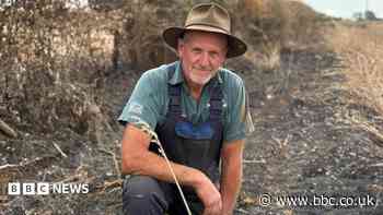 Farmer loses thousands after huge fire in fields