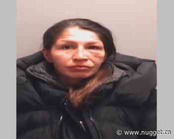 North Bay police seeking public's help in locating 42-year-old Beatrice