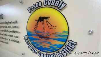 Pasco mosquito control increases surveillance after West Nile detection