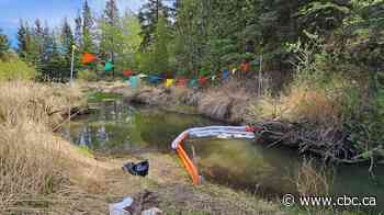 Fort St. John man fined for dumping used oil into local creek