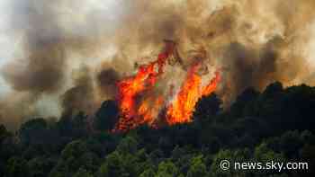 'Extremely scary': Scientists are worried about what this week's wildfires mean for the future