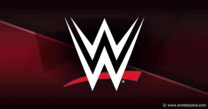 Former WWE Star Credited With Informally Scouting Talent for TNA — Report