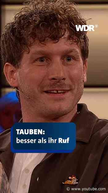 Malte Zierden über seine Beziehung zu Tauben | Kölner Treff | WDR #shorts #maltezierden #Tierschutz