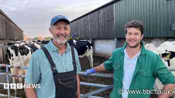 Dairy farmers fear for their future as costs rise