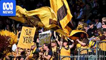 Hawthorn's last Launceston game of the year brings nostalgia and hope