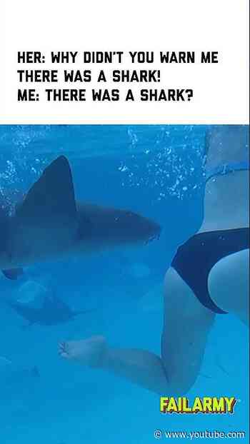 Cameraman was a bit distracted #shark #sharkweek #sharkattack #travel #fail