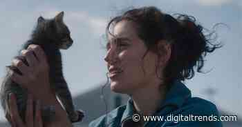 3 underrated movies on HBO Max you should watch this weekend (July 31-August 2)