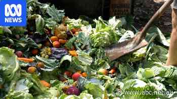 Canberra food and garden waste collection scheme delayed a third time