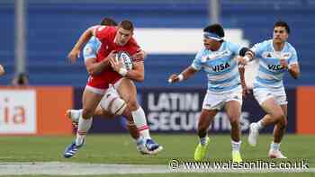 World Rugby moves to deny reports and current Wales star faces fight for minutes