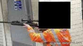 Transport for London workers 'use snipers to kill more than 650 pigeons at stations' in mass cull