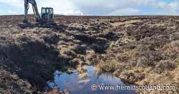 Network Rail restores 273 hectares of peatland near Dunblane