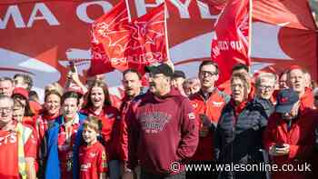 Scarlets issue statement to supporters after WRU sparks fight for existence