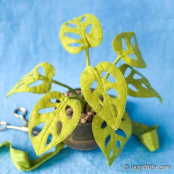 Felt Monstera Adansonii Plant