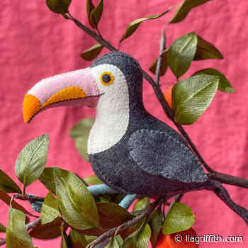 Felt Toucan