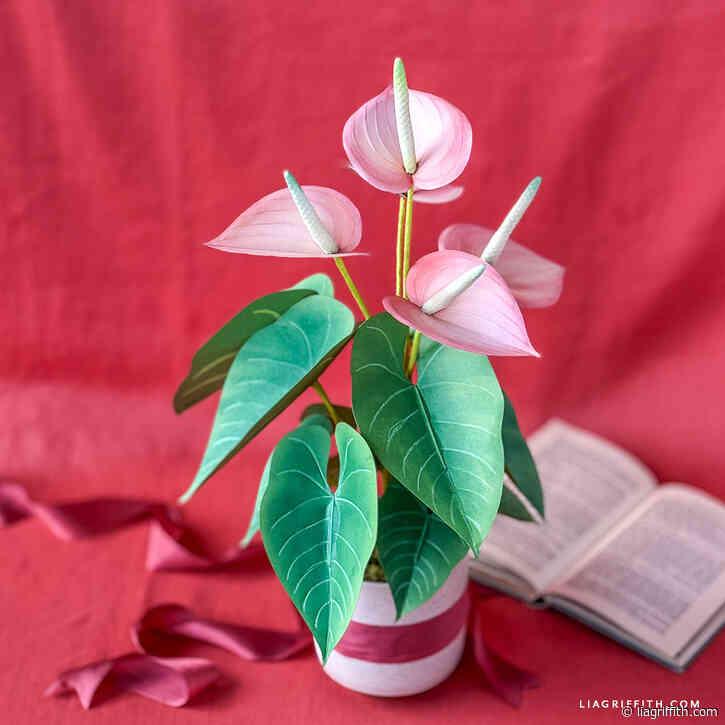 Cardstock Anthurium—Video Workshop