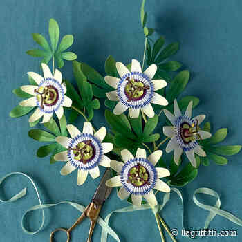 Cardstock Passion Flower
