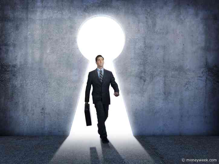 The bright spots for investors in the year ahead