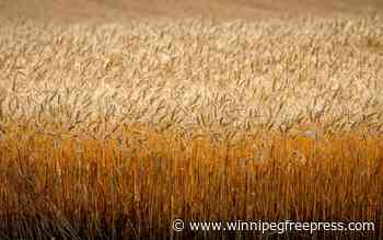 Crop storage headaches loom on horizon