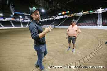 Brandon laying groundwork for Arabian championship