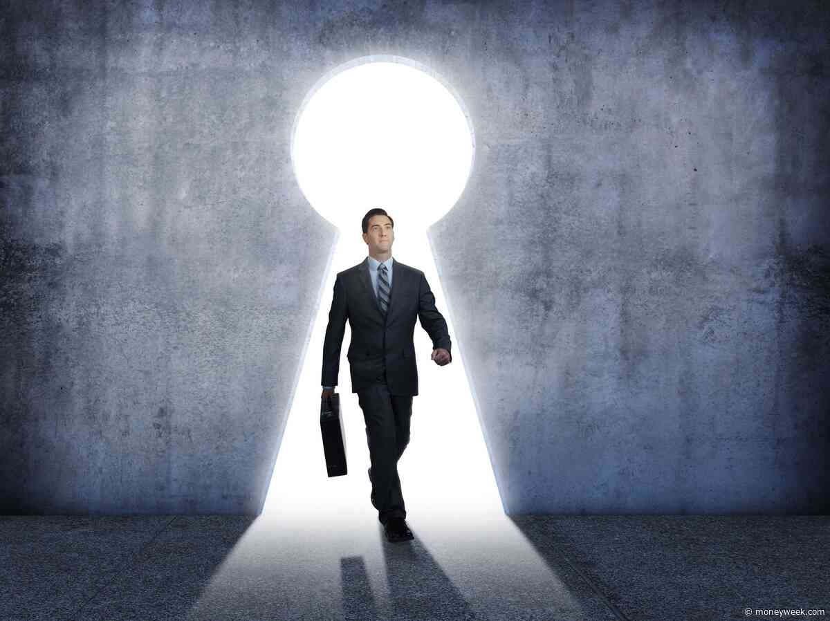 The bright spots for investors in the year ahead