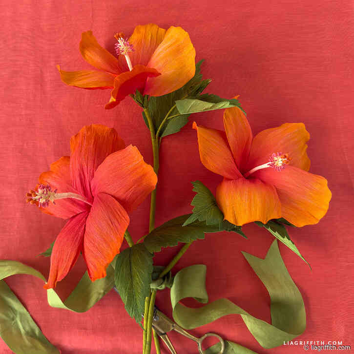 Double-Sided Crepe Paper Hibiscus—Video Workshop