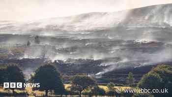 Choking campers evacuate tents as wildfire experts call for more action