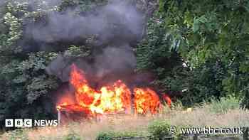Locals rally to help rewilding project after fire