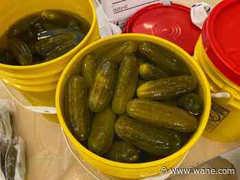 First Pickle Palooza comes to Parkview Field