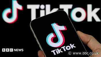 TikTok removes council's account fearing it a fake