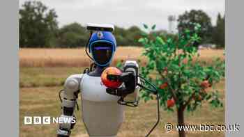 Humanoid robots the 'next stage' in farming