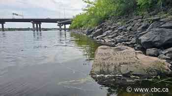 Kayaker on St. John River makes a pair of grim discoveries
