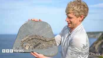 Mountaineer who began fossil hunting after near-death experience discovers rare 'sea dragon'