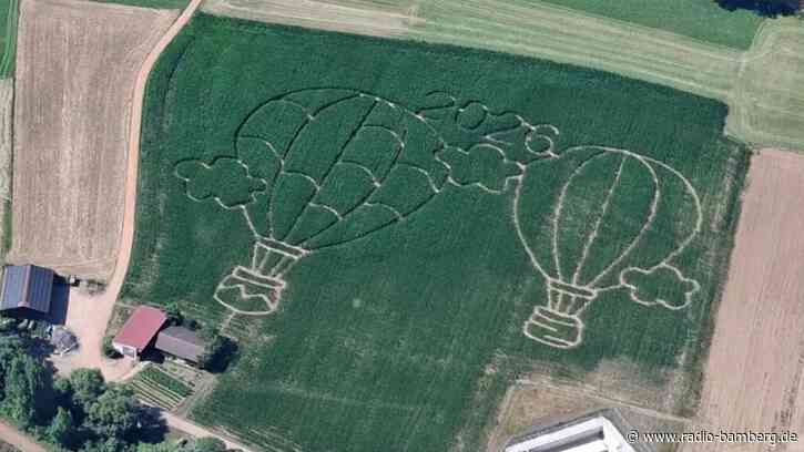 Maislabyrinth in Gosberg öffnet wieder