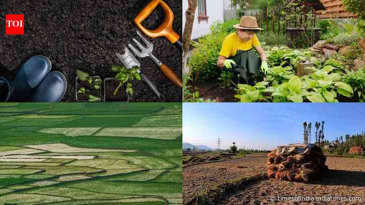 What is the best month to start a garden? Here's what experts say