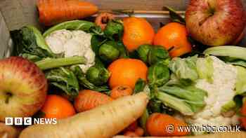Herefordshire food waste to be collected next year