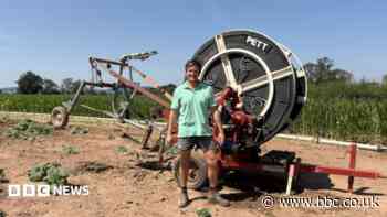 Farmer diversifying amid climate change pressures