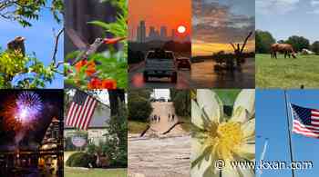 Photo of the Month poll: Vote for the best viewer photo of July