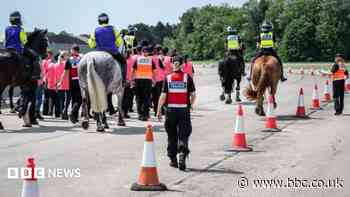 Horse-mounted police officer sexually assaulted